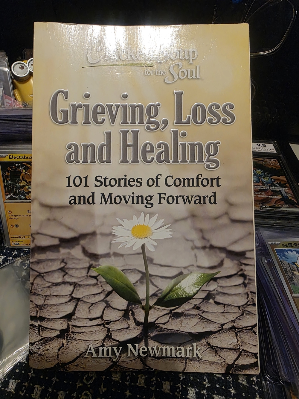Source Unknown - Beige and Green Grieving, Loss and Healing Cover Art